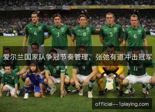 爱尔兰国家队争冠节奏管理，张弛有道冲击冠军